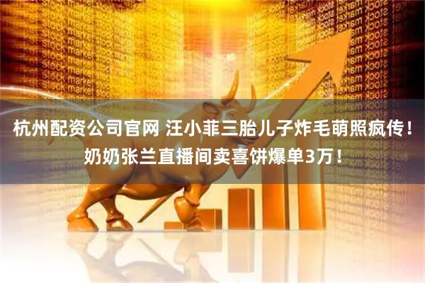 杭州配资公司官网 汪小菲三胎儿子炸毛萌照疯传！奶奶张兰直播间卖喜饼爆单3万！