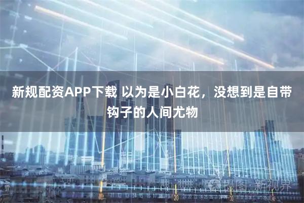 新规配资APP下载 以为是小白花，没想到是自带钩子的人间尤物